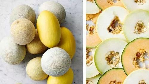 哪里可以吃最新的瓜,全国各大热门地点，最新瓜果资讯一网打尽！