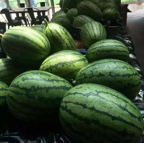 7朵吃瓜,揭秘娱乐圈的甜蜜与苦涩