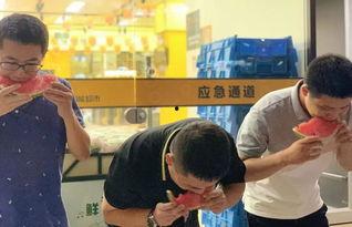 吃瓜视频小群众,揭秘网络短视频背后的现象与影响