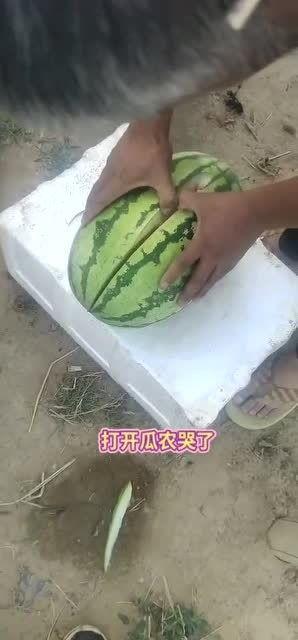 熟透的流星瓜怎么吃,熟透流星瓜的美味食法揭秘