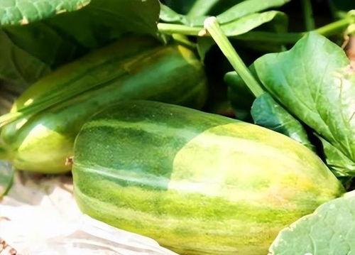 吃瓜每天更新,紧跟热点，揭秘娱乐圈最新动态