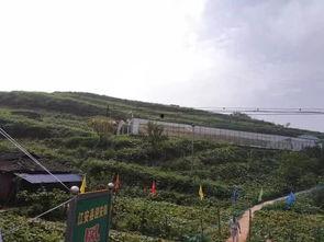 巫山祥云路吃瓜群众,吃瓜群众见证的街头风云