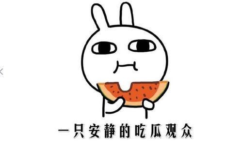 我吃瓜你吃瓜皮,我吃瓜，你吃瓜皮，揭秘吃瓜背后的趣味与智慧