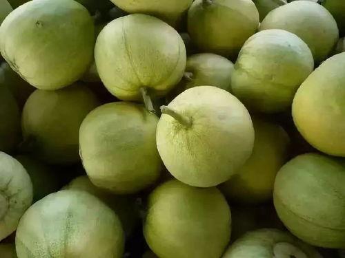 海南树瓜怎么吃,解锁热带水果新美味