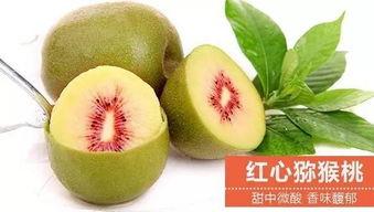 湛江趣味吃瓜,解锁夏日消暑新姿势