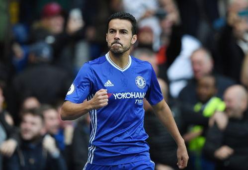 佩德罗吃瓜教程,轻松掌握瓜界潮流秘籍