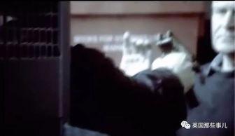 枪杀案吃瓜,揭秘枪杀案背后的真相与反思