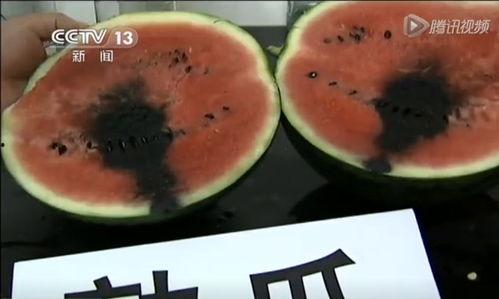 兰州吃瓜视频,揭秘当地美食文化魅力