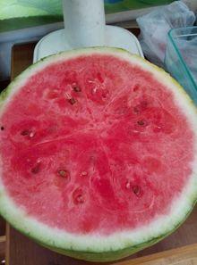 丽水医院吃瓜,揭秘背后的真相与反思