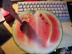 趴哥吃瓜,揭秘娱乐圈那些不为人知的幕后故事