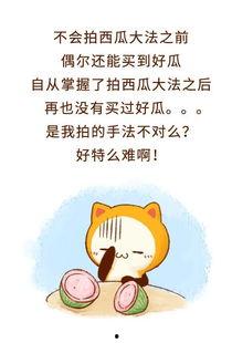 吃瓜群众不吃瓜下一句,背后的真相与启示