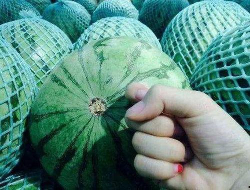 豪豪吃瓜,揭秘娱乐圈幕后故事