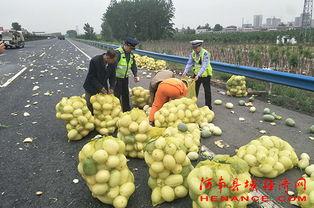 河南固始吃瓜新闻,一场引发热议的街头冲突