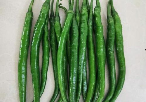 十八线艺人吃瓜,揭秘十八线艺人背后的吃瓜故事