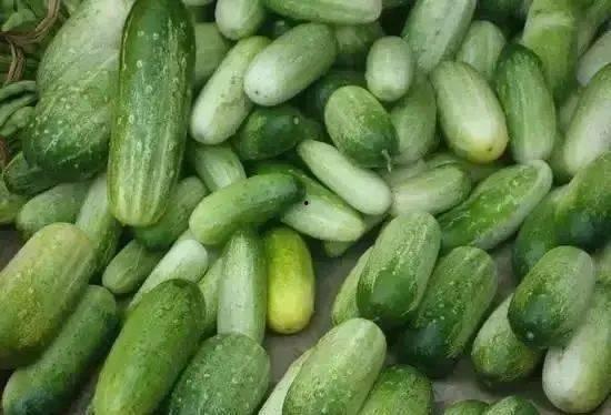 古美中学吃瓜,揭秘校园里的那些事儿