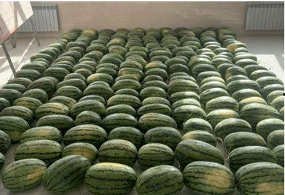 汾阳最近吃瓜新闻,最新吃瓜新闻大盘点