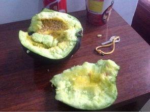 瓜白瓤怎么吃,解锁健康美味新选择