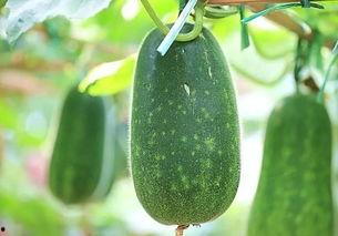 热综吃瓜,揭秘娱乐圈背后的秘密与八卦