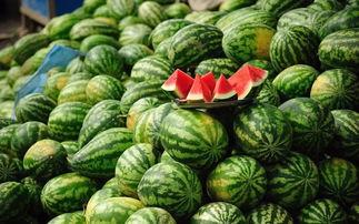 翰林府吃瓜销售,吃瓜销售热潮席卷而来