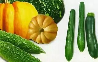 夏天吃瓜图文,瓜果飘香，清凉一夏