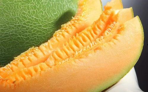 吃新疆蜜瓜,品味丝路甜蜜果实