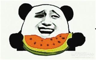 吃瓜群众瓜哥配音视频,一场吃瓜群众的欢乐盛宴