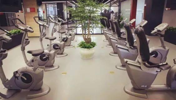 海康威视吃瓜,一场吃瓜群众的围观盛宴