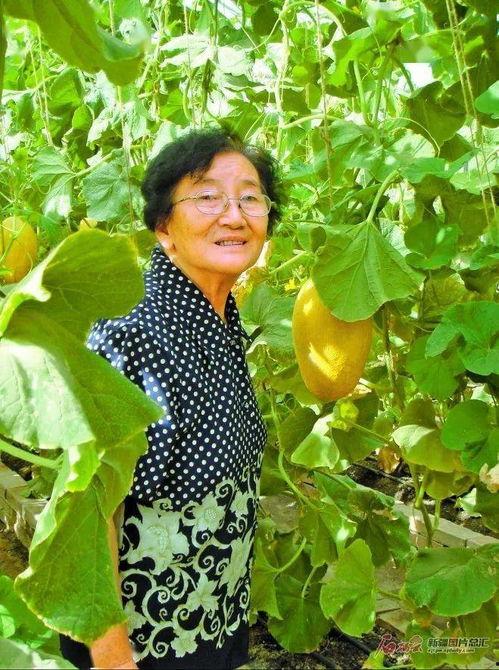 武汉老人吃瓜,瓜果飘香乐享清凉时光